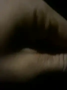 chemicrise Webcam-Show