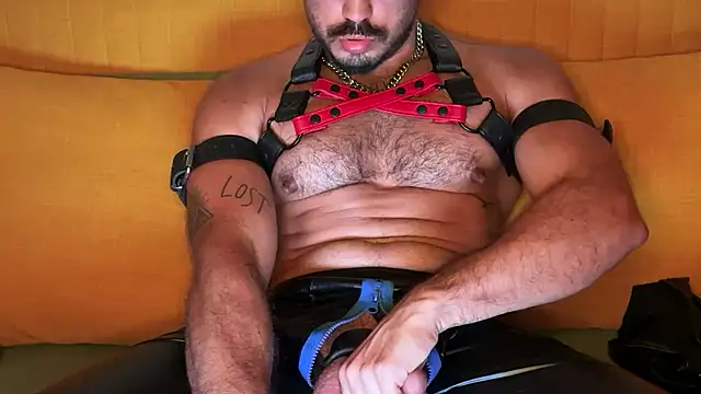 Show Webcam de DanteRomanov