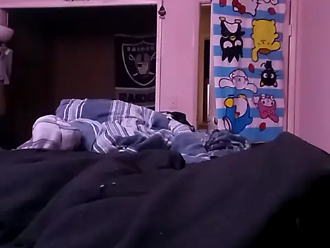 Show webcam de Blkstylion