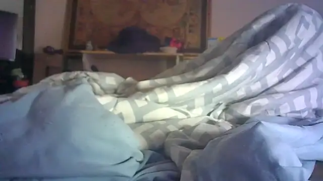 Show de webcam de CR3M3_FIR3