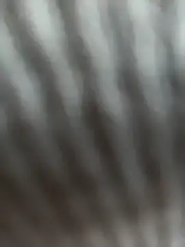 צ'אט XXX בשידור חי של ReggieG