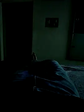 Show webcam de TheAverageGuy