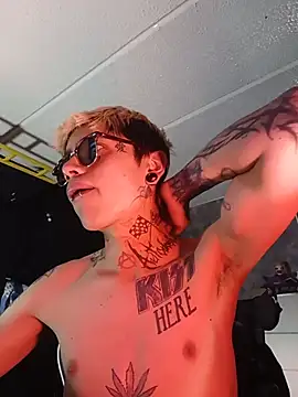 Show de AcidMilo na webcam