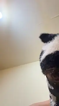 Hz1Tr 라이브 XXX 채팅