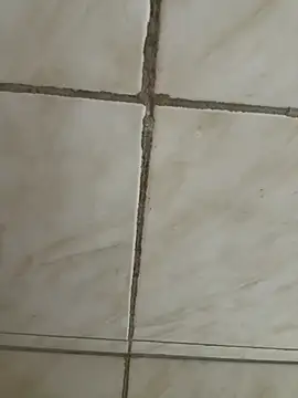 Show modela branquelopaugostoso na web-kameri
