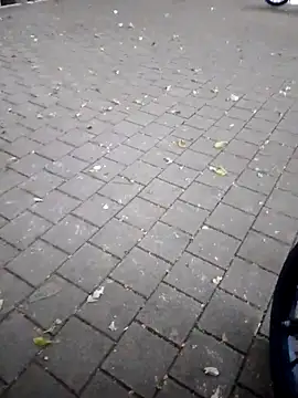 Chat XXX Live FeloBad