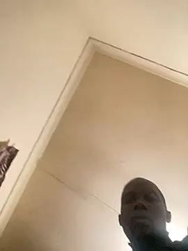 travelstick's Webcam Show