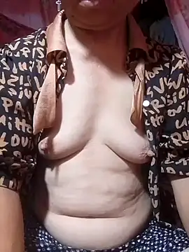 -Camelia- 网络视讯表演