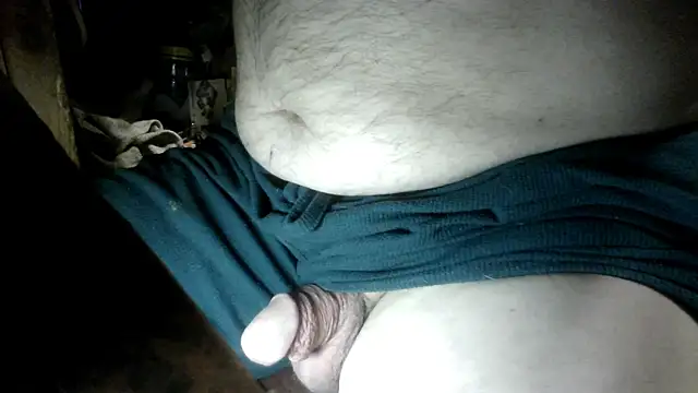 Show webcam de russtee