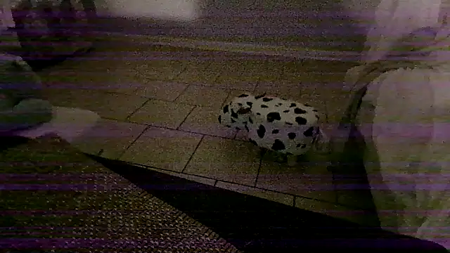 XXX chat uživo modela Toofat4you