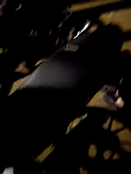 عرض كام FeloBad