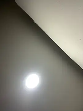 LatinBearX's Live XXX Chat