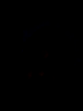 josepegopのウェブカメラショー