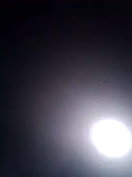 R-ant12 webcam show