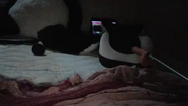 Dominalilirose Chat XXX live