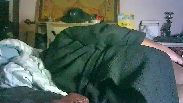 Show de webcam de CR3M3_FIR3