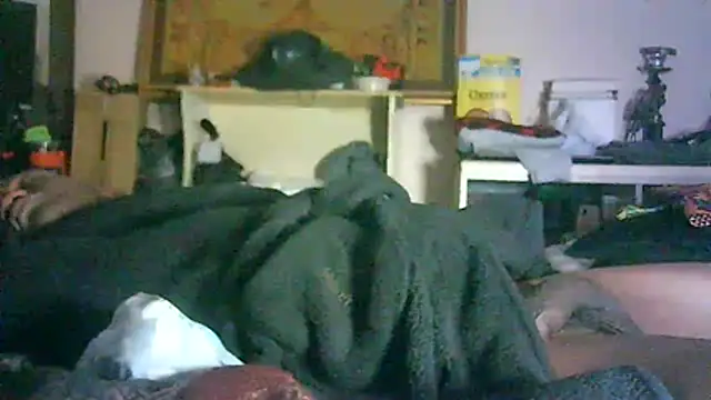 Show webcam de CR3M3_FIR3