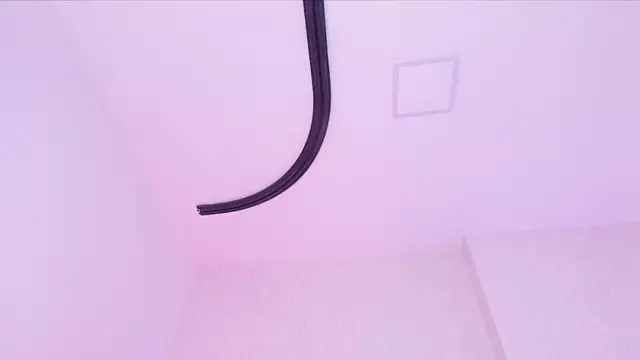 _carolina_foxのライブXXXチャット