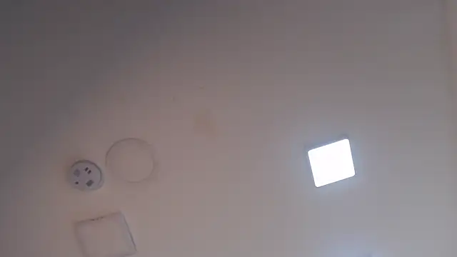 BiancaAndDominic 现场XXX聊天