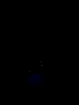 fertwin élő XXX-chatje