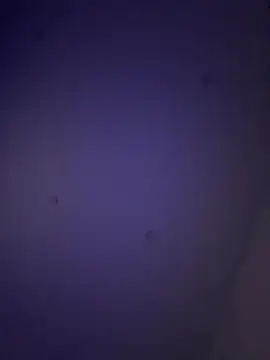 Jonnybigccookk69 লাইভ XXX চ্যাট