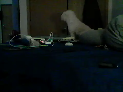 Silencio26 Chat XXX in diretta