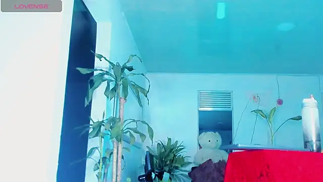 sophiaxxdoll 现场XXX聊天