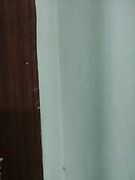 sexy_shital's Live XXX Chat
