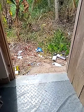 Hiptonos Pertunjukan Webcam