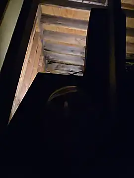 הופעת וובקאם של Boogiehtx713