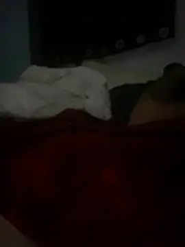 Chat +18 de GusanoDelicioso ao vivo