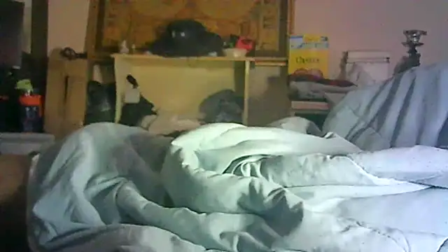 Show webcam de CR3M3_FIR3
