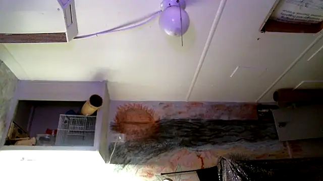 Chat +18 de SexyB214 ao vivo