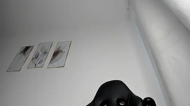 צ'אט XXX בשידור חי של _Molly_rosse_