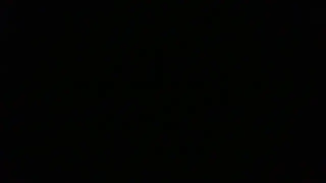 NuttyProfesirのウェブカメラショー
