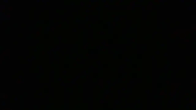 NuttyProfesir 即時 XXX 聊天