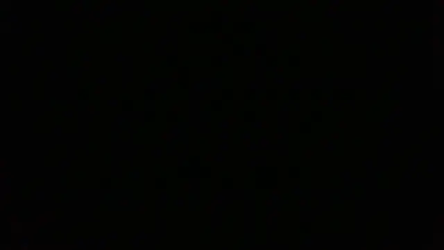 NuttyProfesir Webcam Show