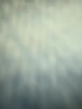 yousayido: вебкам-шоу