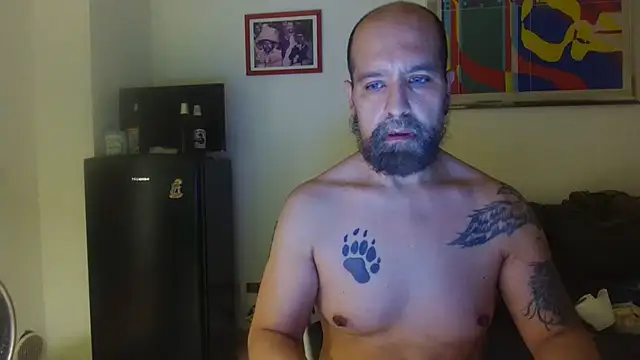 Show de webcam de AMIRDIB2025