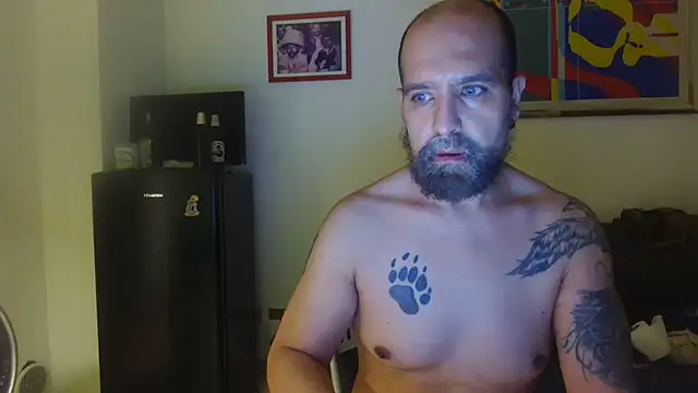 Chat XXX ao vivo de AMIRDIB2025