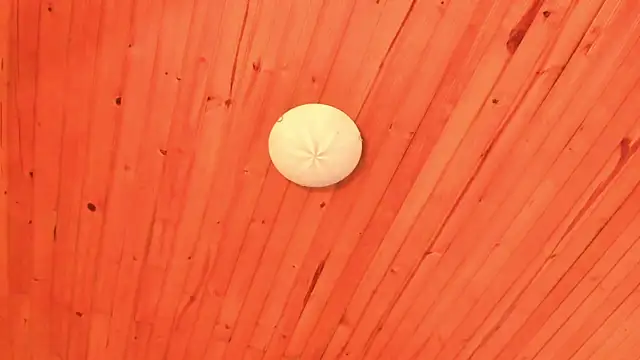 Khaimmi 现场XXX聊天