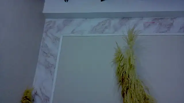 Onawa_ 即時 XXX 聊天