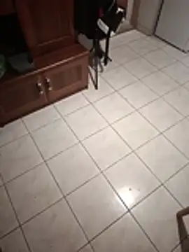 Kamilsbd XXX чат на живо