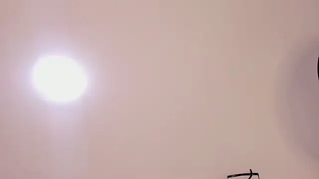 rousemonroe Live XXX-Chat