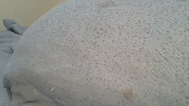 ndivhuwomuleya Live XXX-Chat