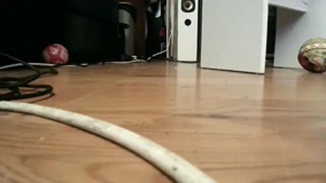 0815lukas2024のウェブカメラショー