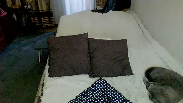 Chat XXX en directo de sex2