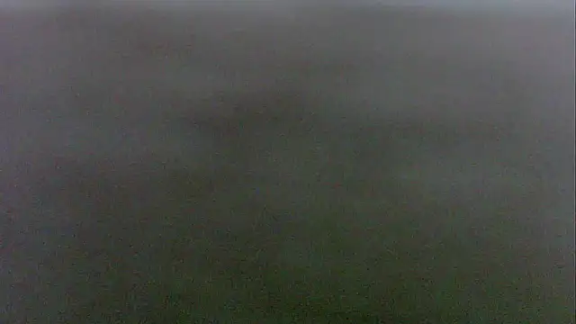 2c_Bby 现场XXX聊天