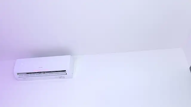 emmacurvy Live XXX-chat