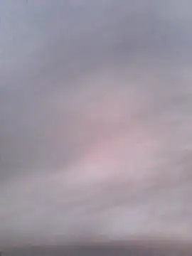 Chat +18 de -Tara-a ao vivo